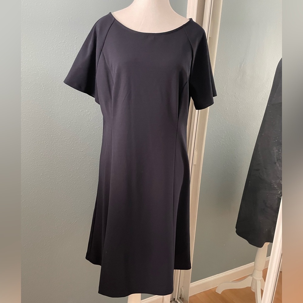 Ann Taylor Navy Fit and Flare Dress